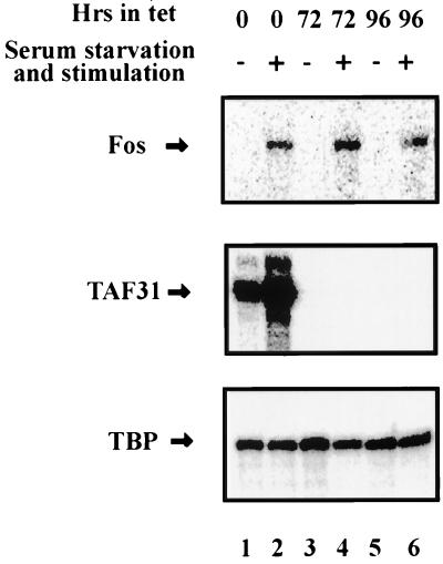 FIG. 8