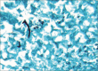 Figure 5: