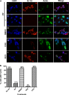 FIG 3