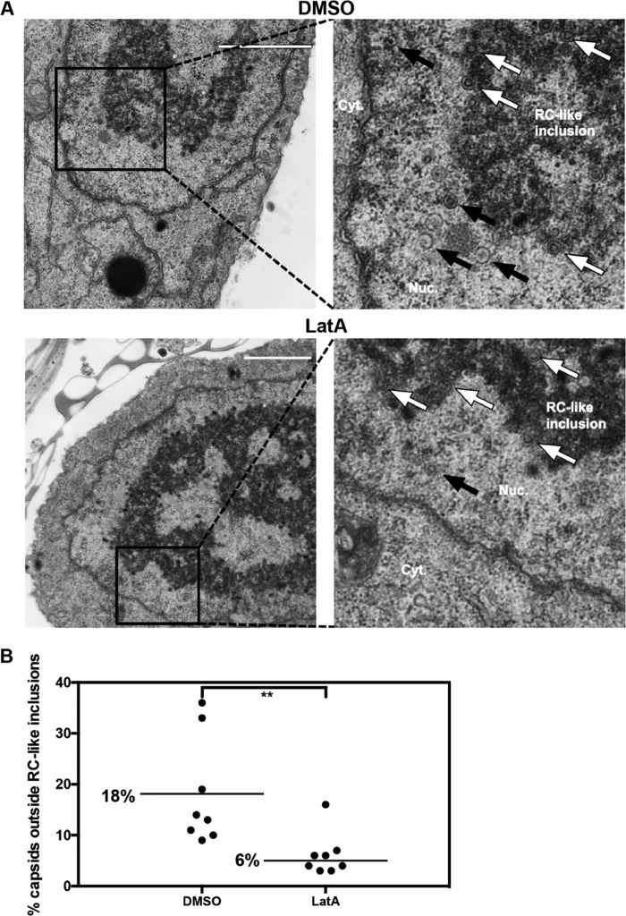 FIG 6 