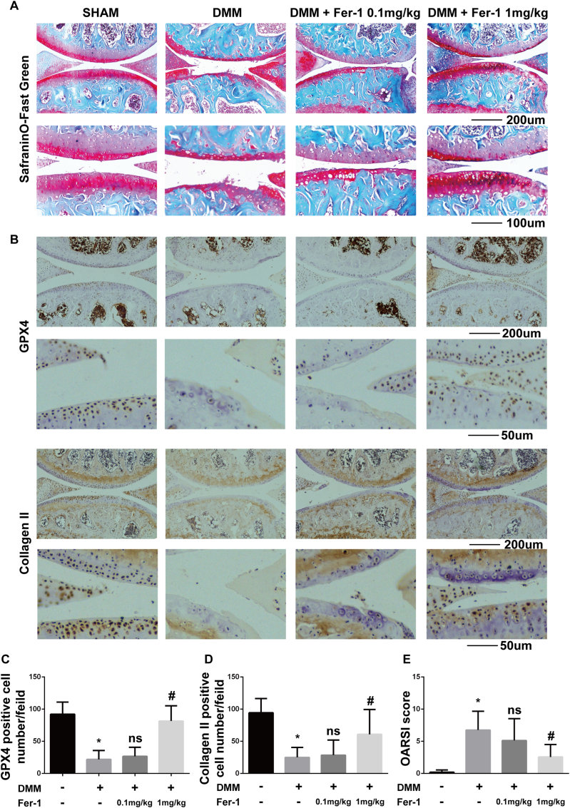 Figure 6