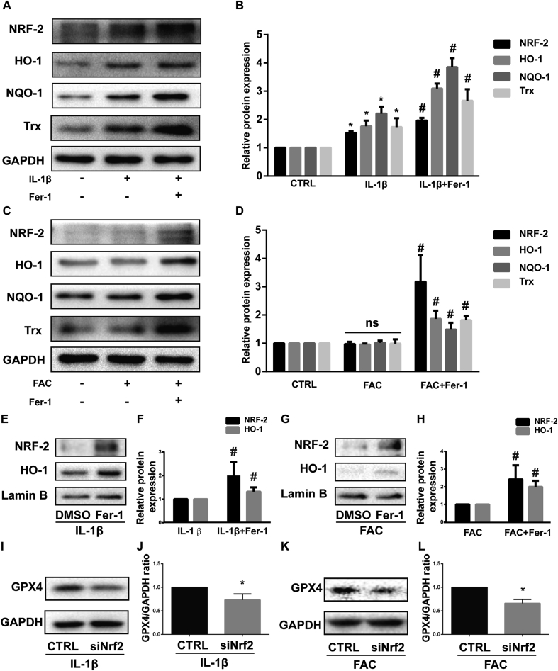 Figure 5