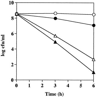 FIG. 5