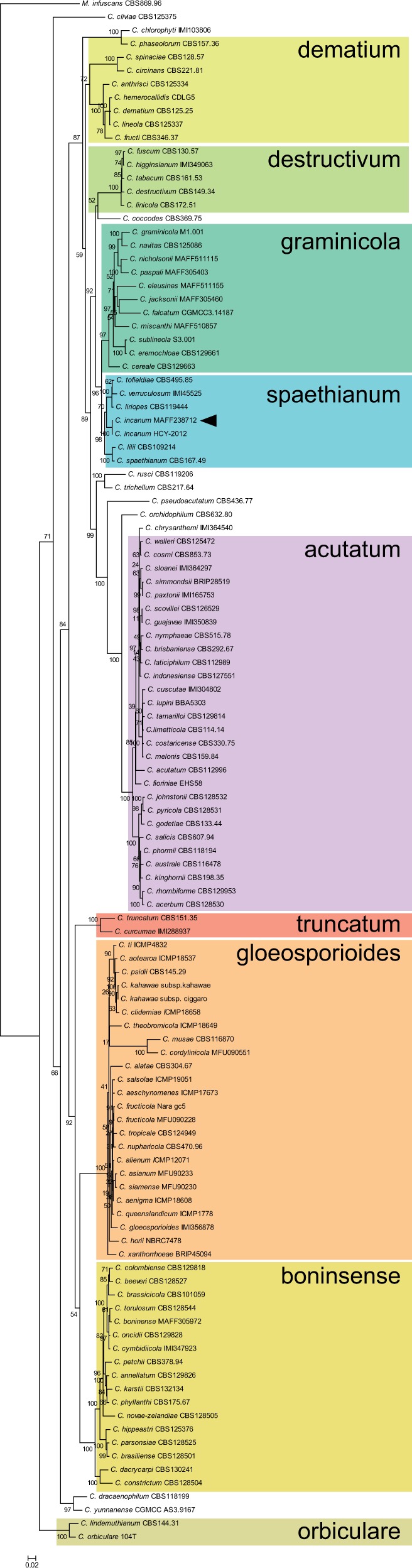 Fig. 1.—