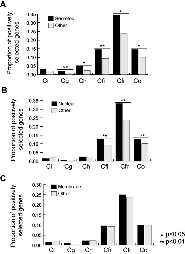 Fig. 6.—