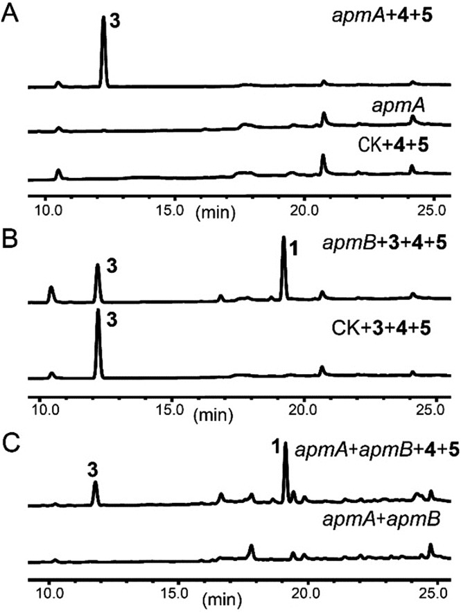 Fig. 3