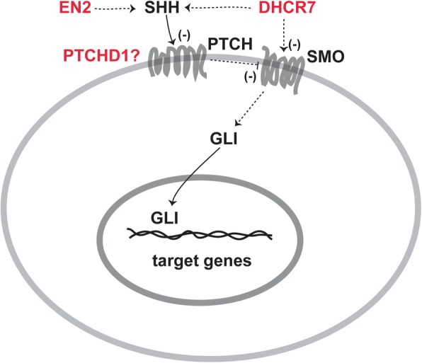 Fig. 2