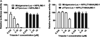 FIG 6