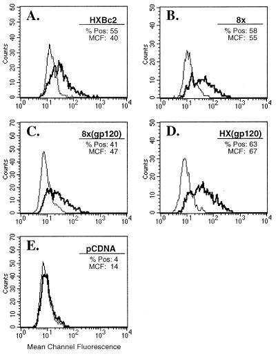 FIG. 7