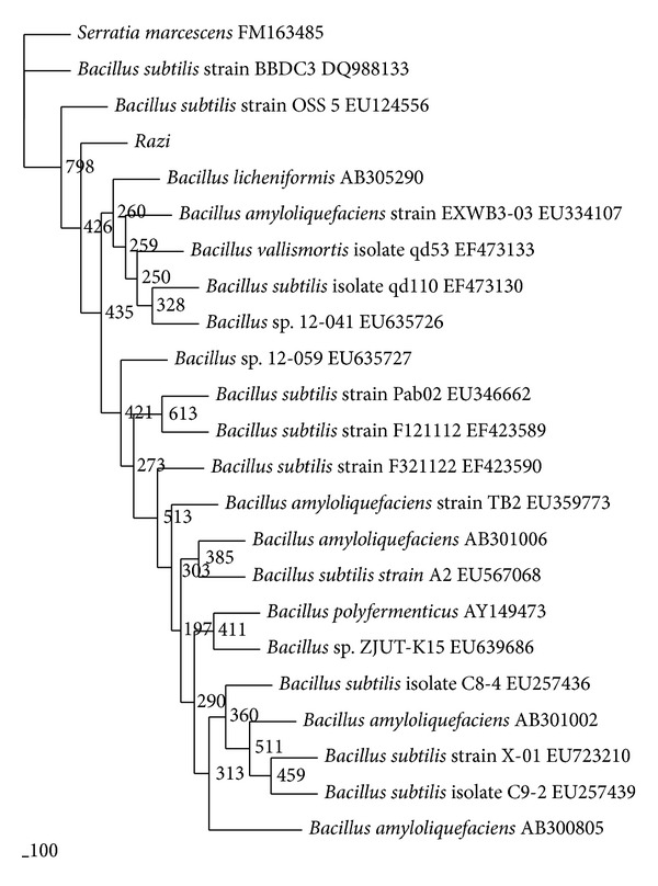 Figure 1