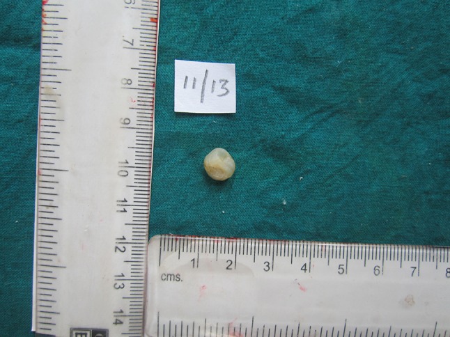 Fig. 3