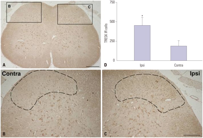 Fig. 2-2