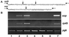Fig 3.