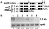 Fig 4.