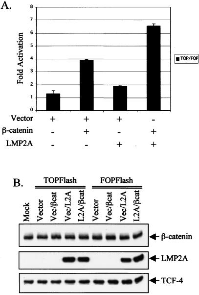 FIG. 6.