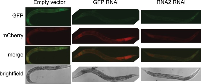 FIG 4