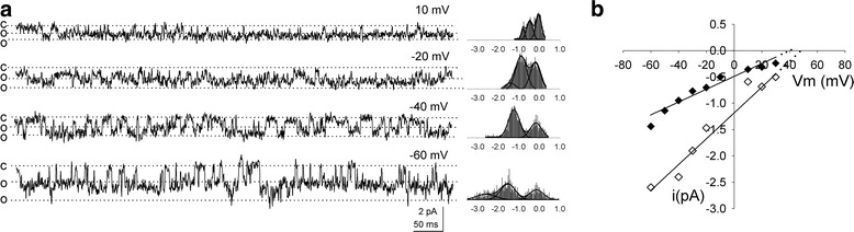 Fig. 2