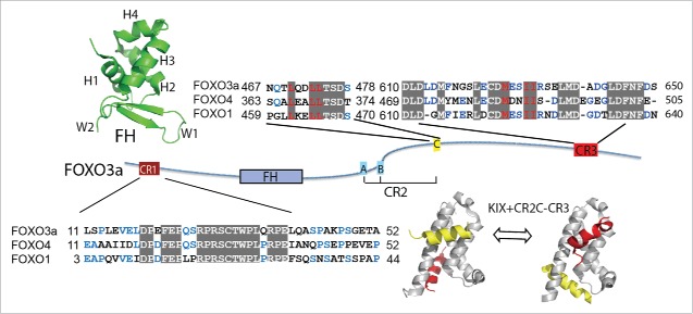 Figure 2.