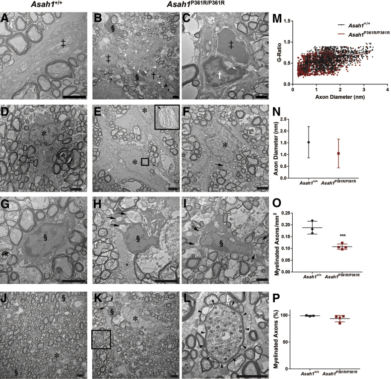 Figure 10