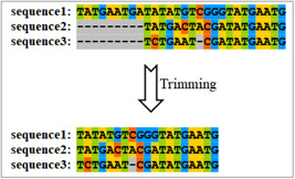 Figure 14