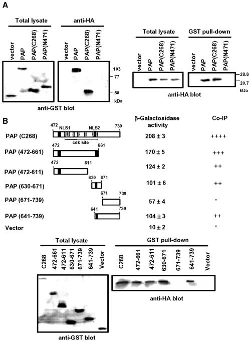 graphic file with name cdg486f3.jpg