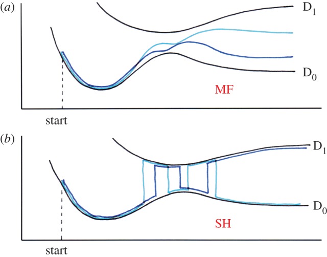 Figure 5.