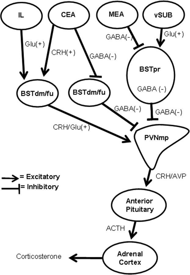 Figure 11.