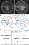 Fig. 9.