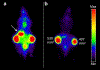 Figure 11: