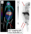 Figure 7: