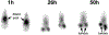 Figure 10: