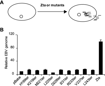 FIG. 6.