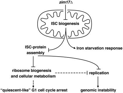 Figure 7.