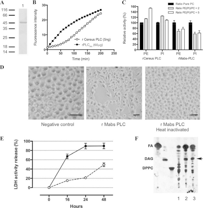 FIG 1