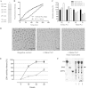 FIG 1