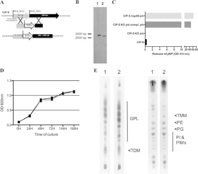 FIG 2