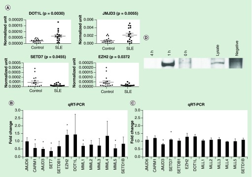 Figure 6. 