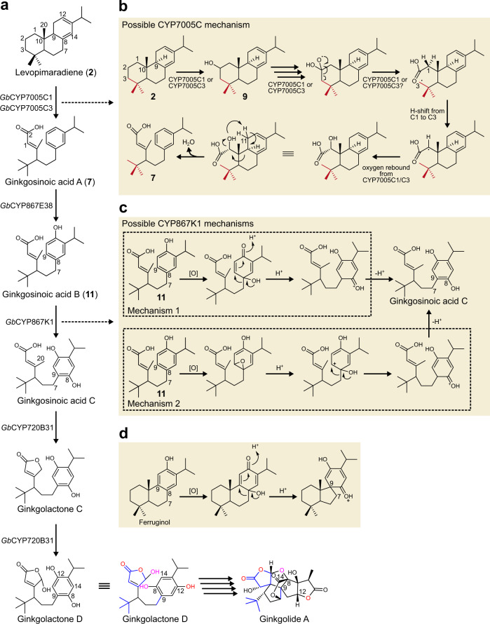 Fig. 5