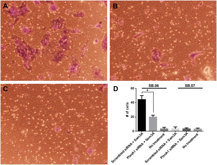 Fig 6