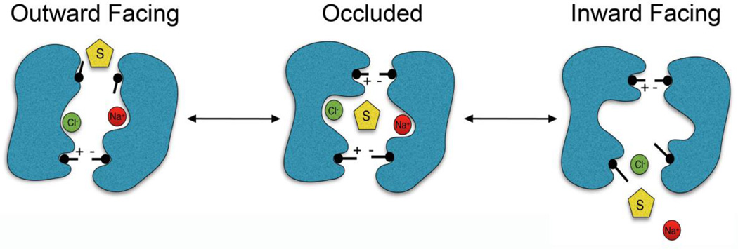 Fig. 2