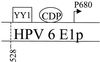 FIG. 8