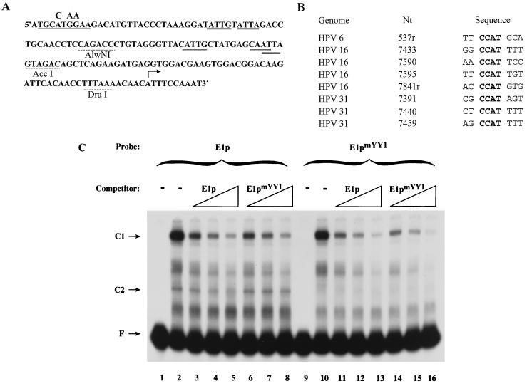 FIG. 5