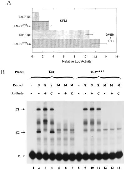 FIG. 6