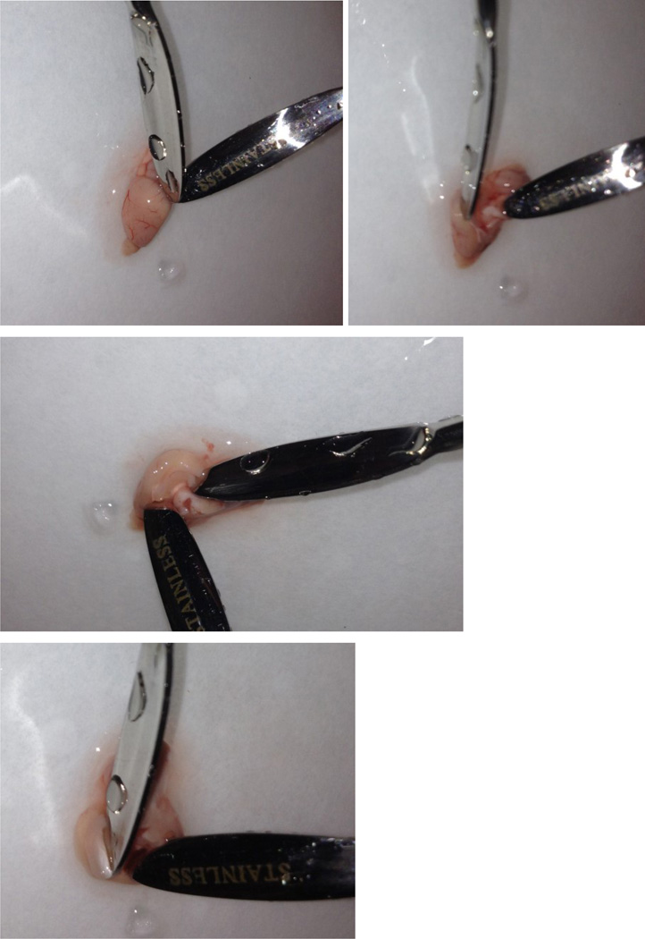 graphic file with name nihms770866f7.jpg