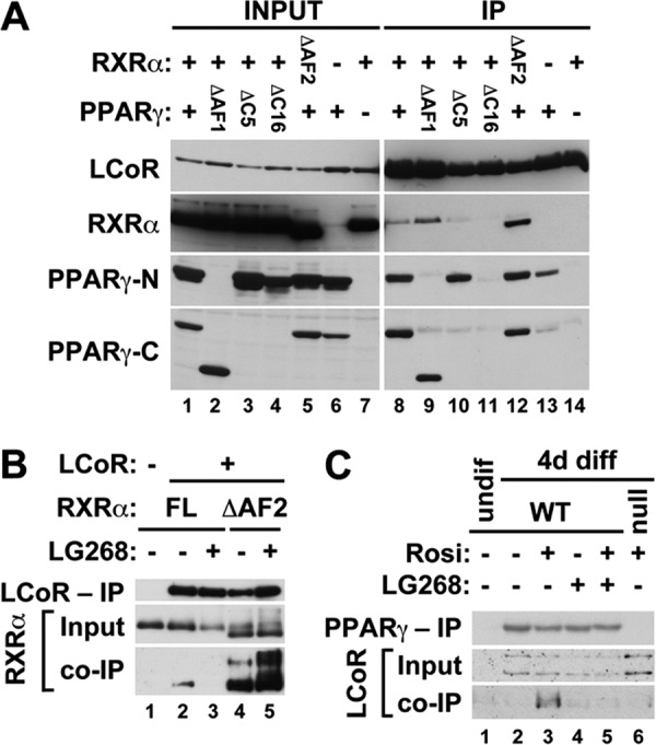 FIG 3