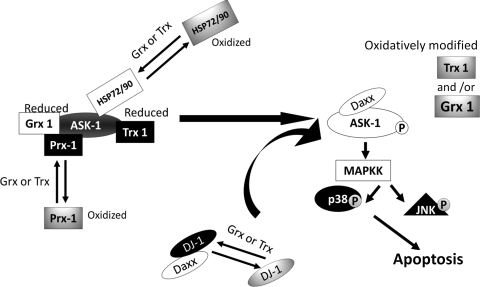 FIG. 7.