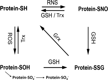 FIG. 6.