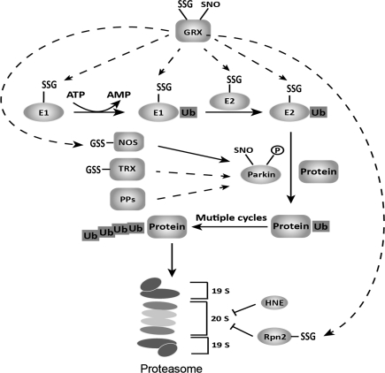 FIG. 9.