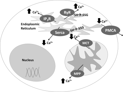 FIG. 8.