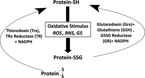 FIG. 5.